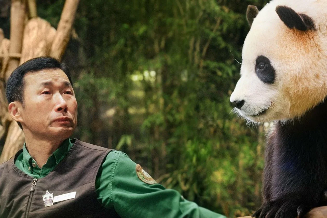 &#x418;&#x441;&#x442;&#x43e;&#x447;&#x43d;&#x438;&#x43a;: &#x41f;&#x438;&#x43b;&#x43e;&#x442;&#x41a;&#x438;&#x43d;&#x43e;