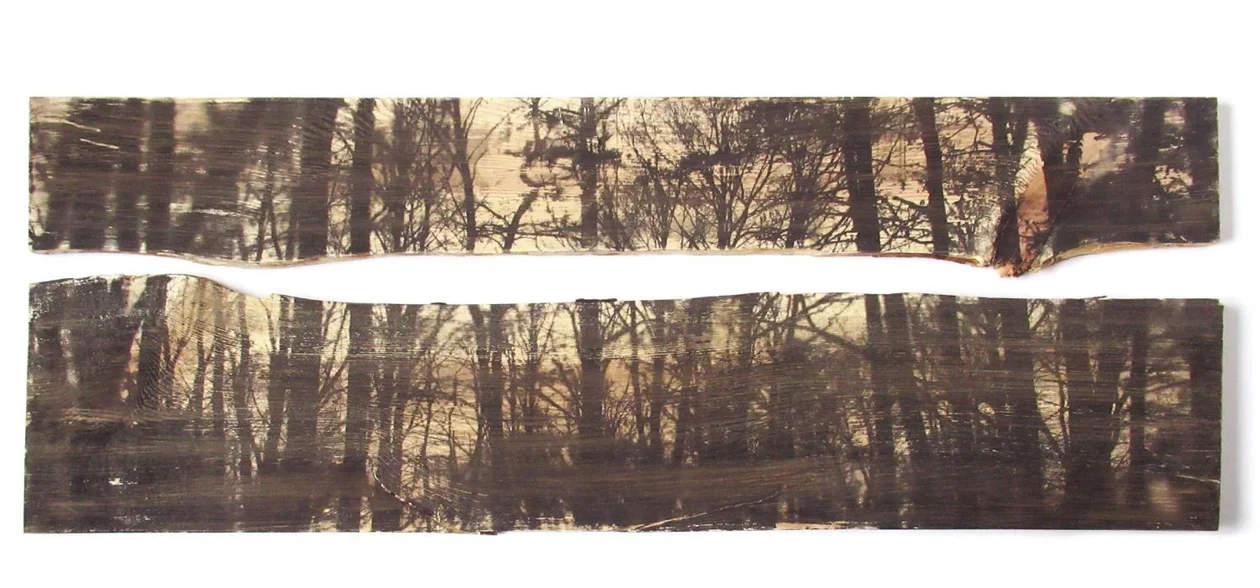 Из серии «Поиски горизонта»