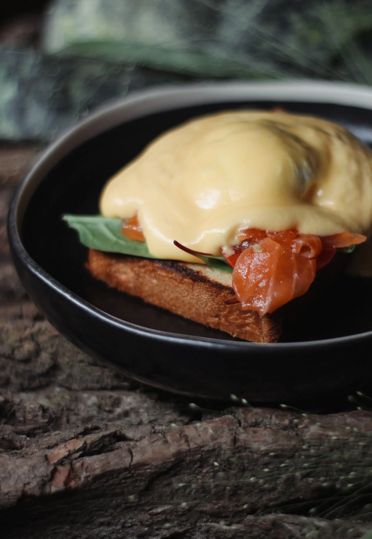 &#x424;&#x43e;&#x442;&#x43e;: <span style="background-color:transparent;color:rgb(67,67,67);font-family:Arial, sans-serif;">Sempre</span>