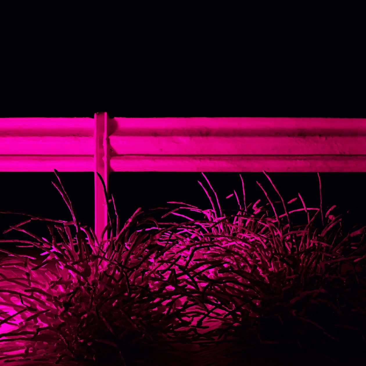 Из серии «Периферийное зрение»