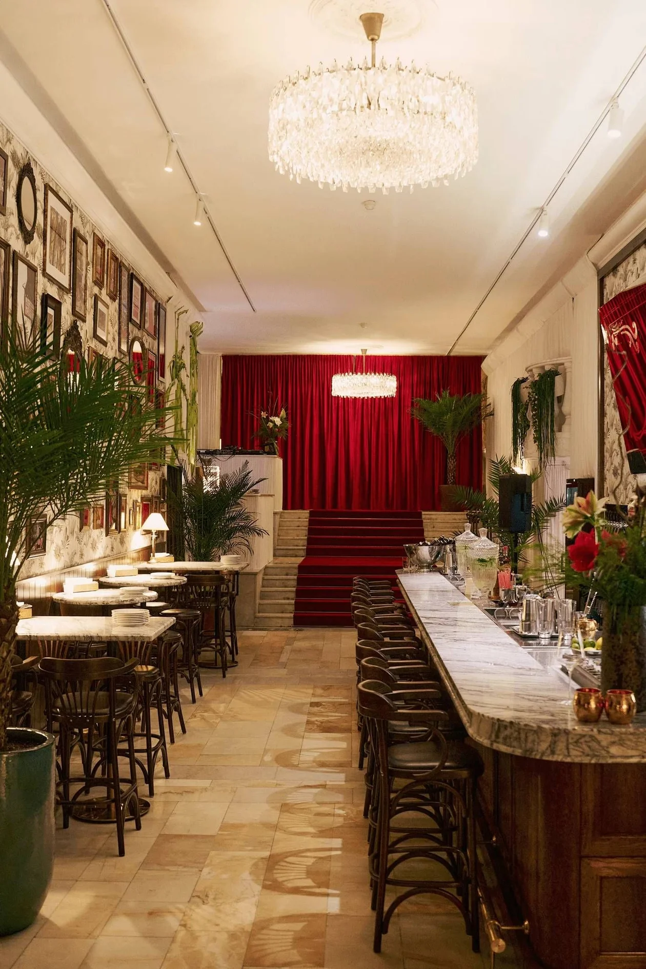 Фото: <span style="background-color:transparent;color:rgb(0,0,0);font-family:Arial, sans-serif;">Louis the Claw</span>