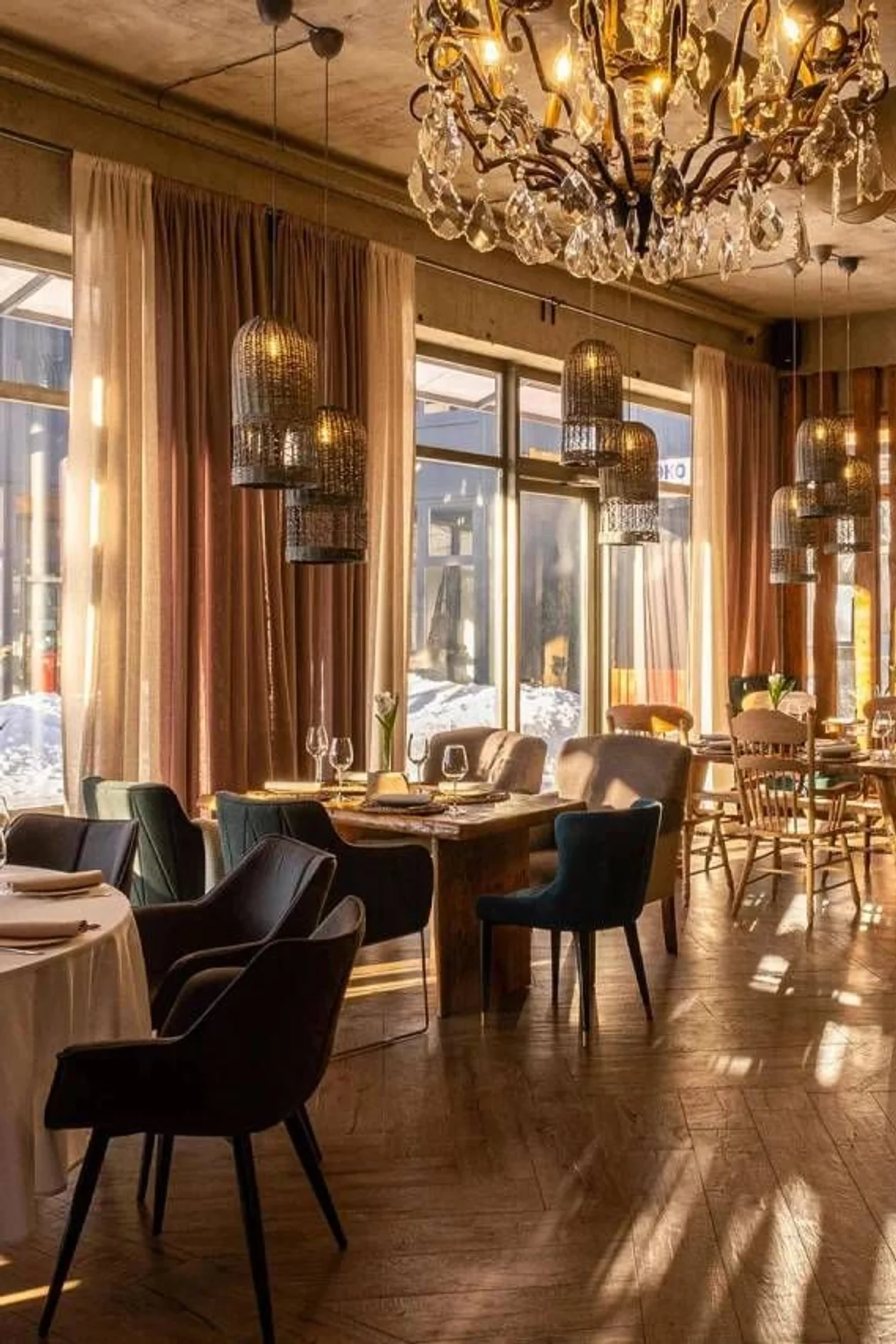 Фото: <span style="background-color:transparent;color:rgb(67,67,67);font-family:Arial, sans-serif;">Biologie</span>