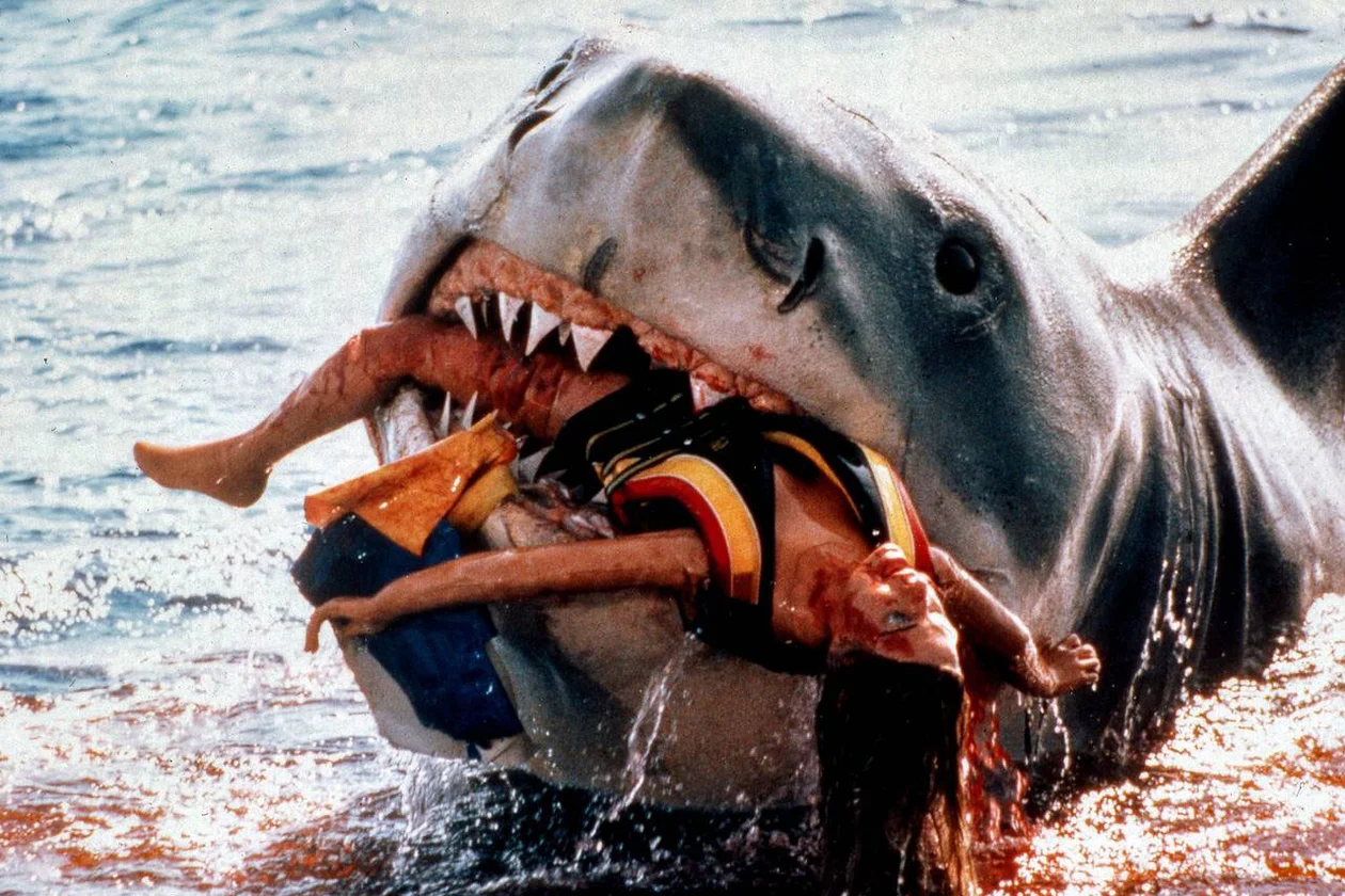 Кадр из фильма «Челюсти»