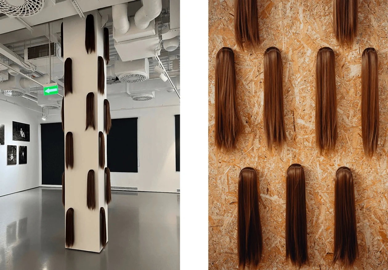 Поле после сбора урожая. 2024