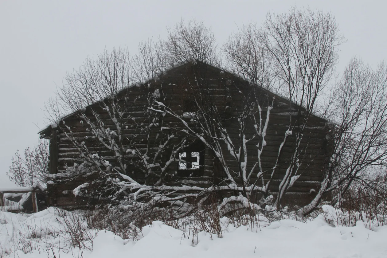 Без названия. 2021