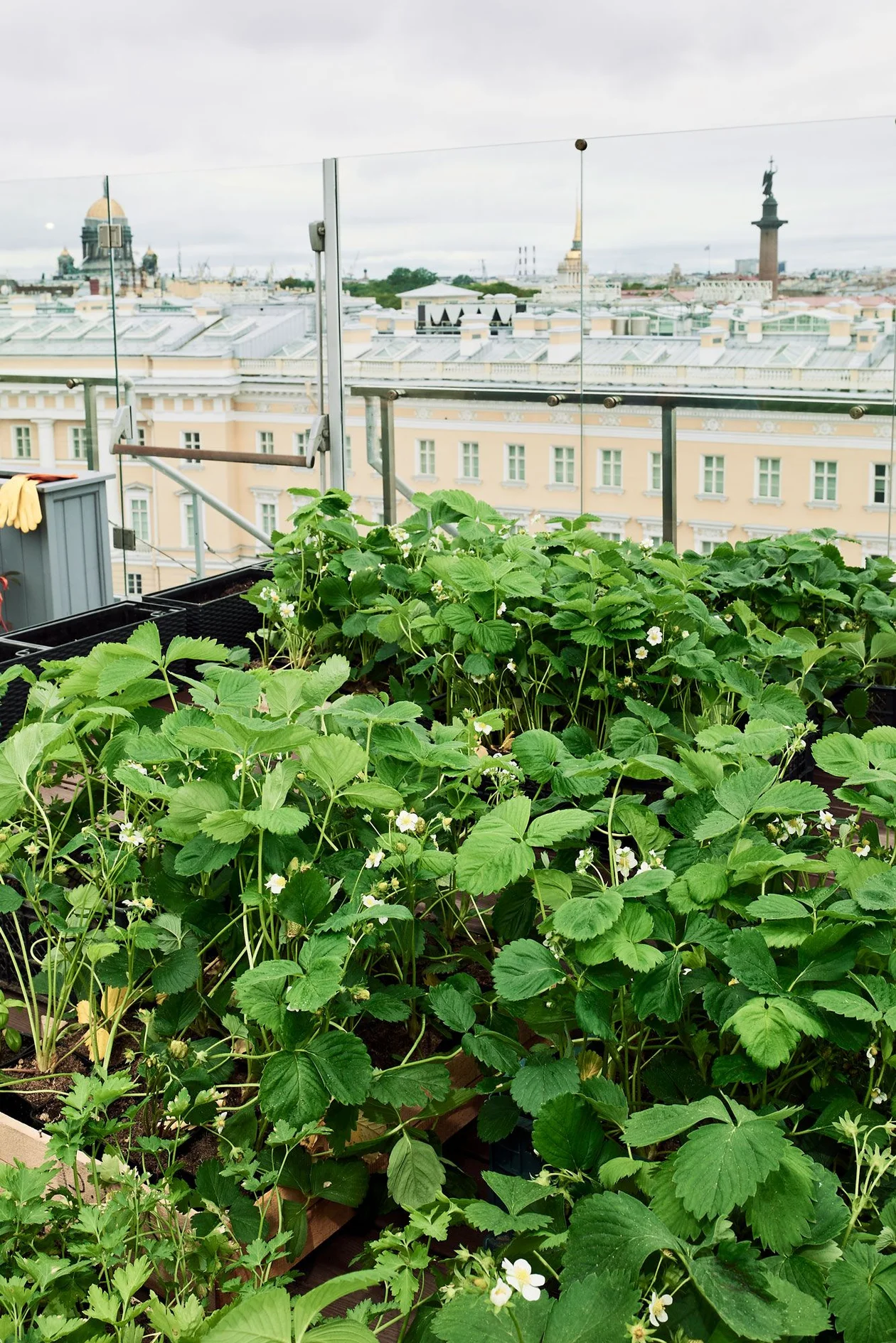 Источник: «Гранд Отель Мойка 22»