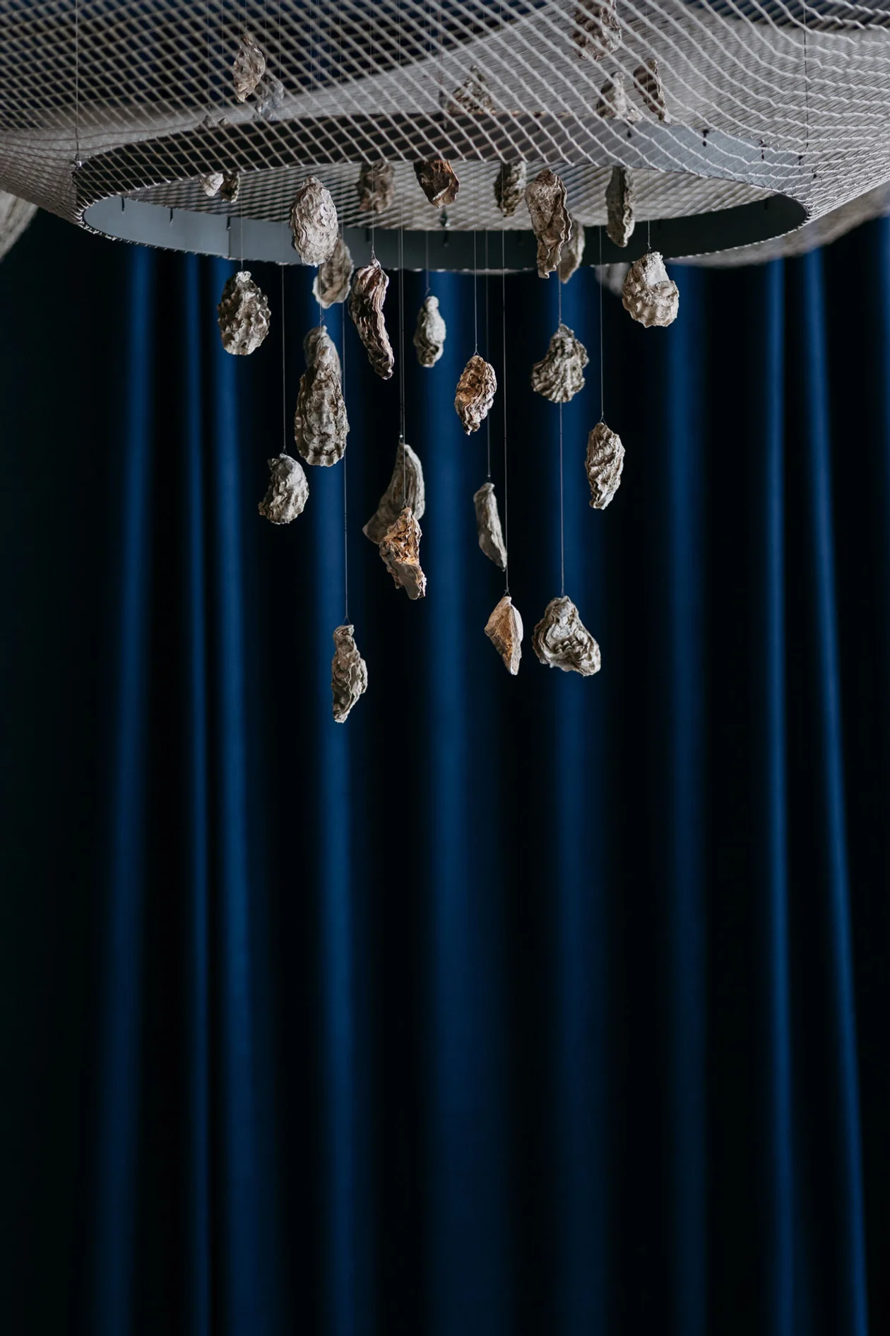 Источник: Кусто