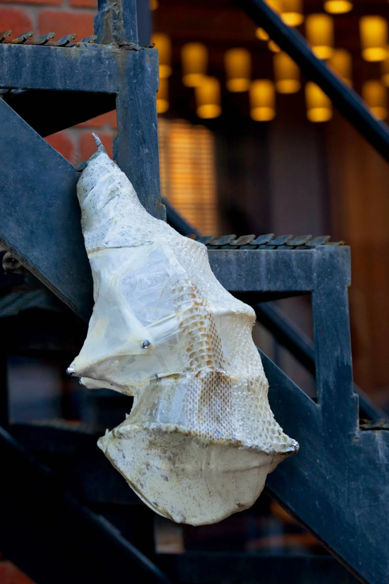 Работа Кристины Пуршиной