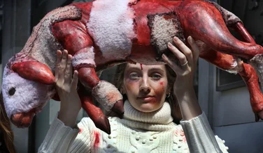 На грани срыва: как экоактивизм Peta мешает модным показам
