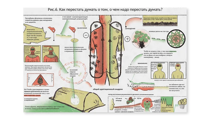 Дарья Лапшинова. Постер из серии «Астры, гимнастика, магия». Цифровая печать. 2025.