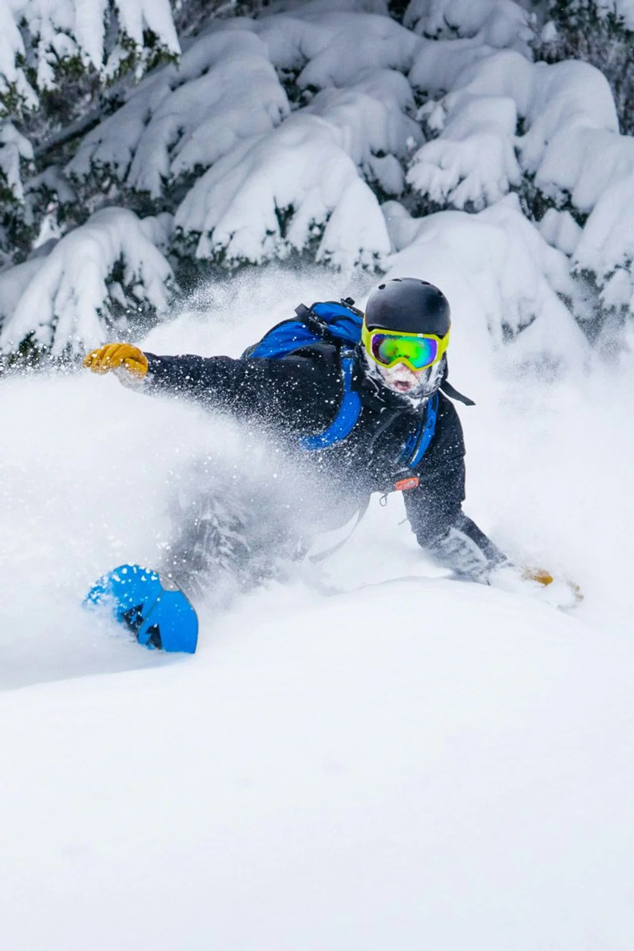 Источник: Ben Kitching / Unsplash