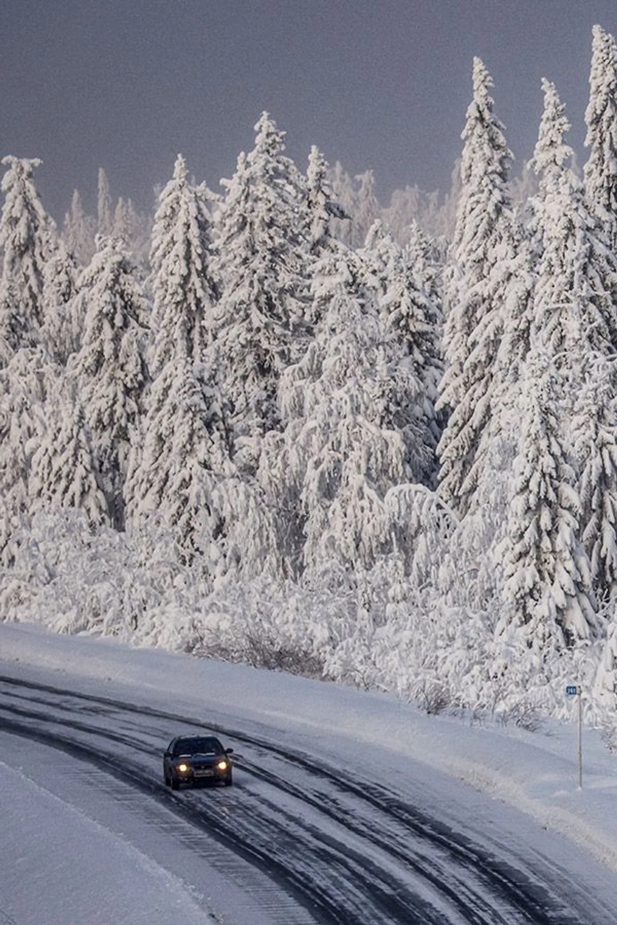 Источник: Сергей Мальгавко / ТАСС