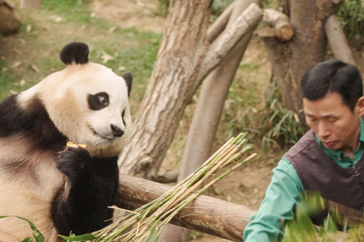 &#x418;&#x441;&#x442;&#x43e;&#x447;&#x43d;&#x438;&#x43a;: &#x41f;&#x438;&#x43b;&#x43e;&#x442;&#x41a;&#x438;&#x43d;&#x43e;