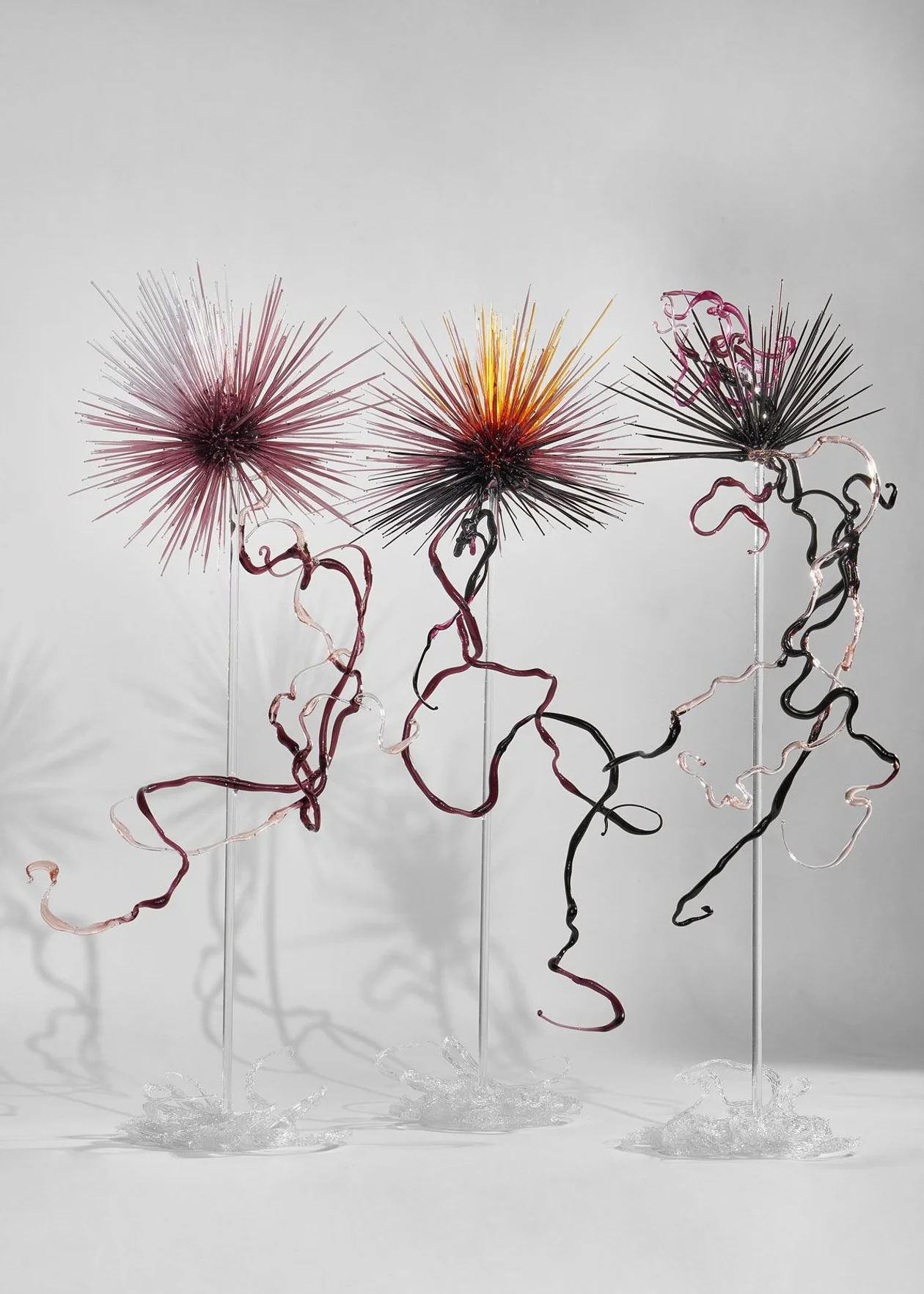 Источник: Дарья Арбузова