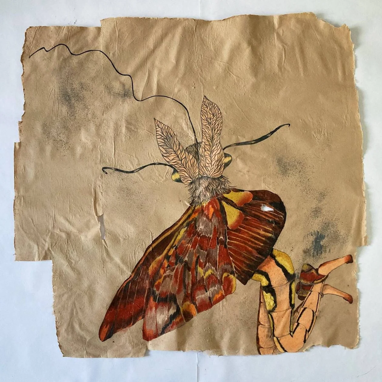 &#x41b;&#x435;&#x43d;&#x430; &#x427;&#x435;&#x442;&#x432;&#x435;&#x440;&#x438;&#x43a;. &#x423;&#x440;&#x43e;&#x43a;&#x438; &#x441;&#x43e;&#x431;&#x43b;&#x430;&#x437;&#x43d;&#x435;&#x43d;&#x438;&#x44f;