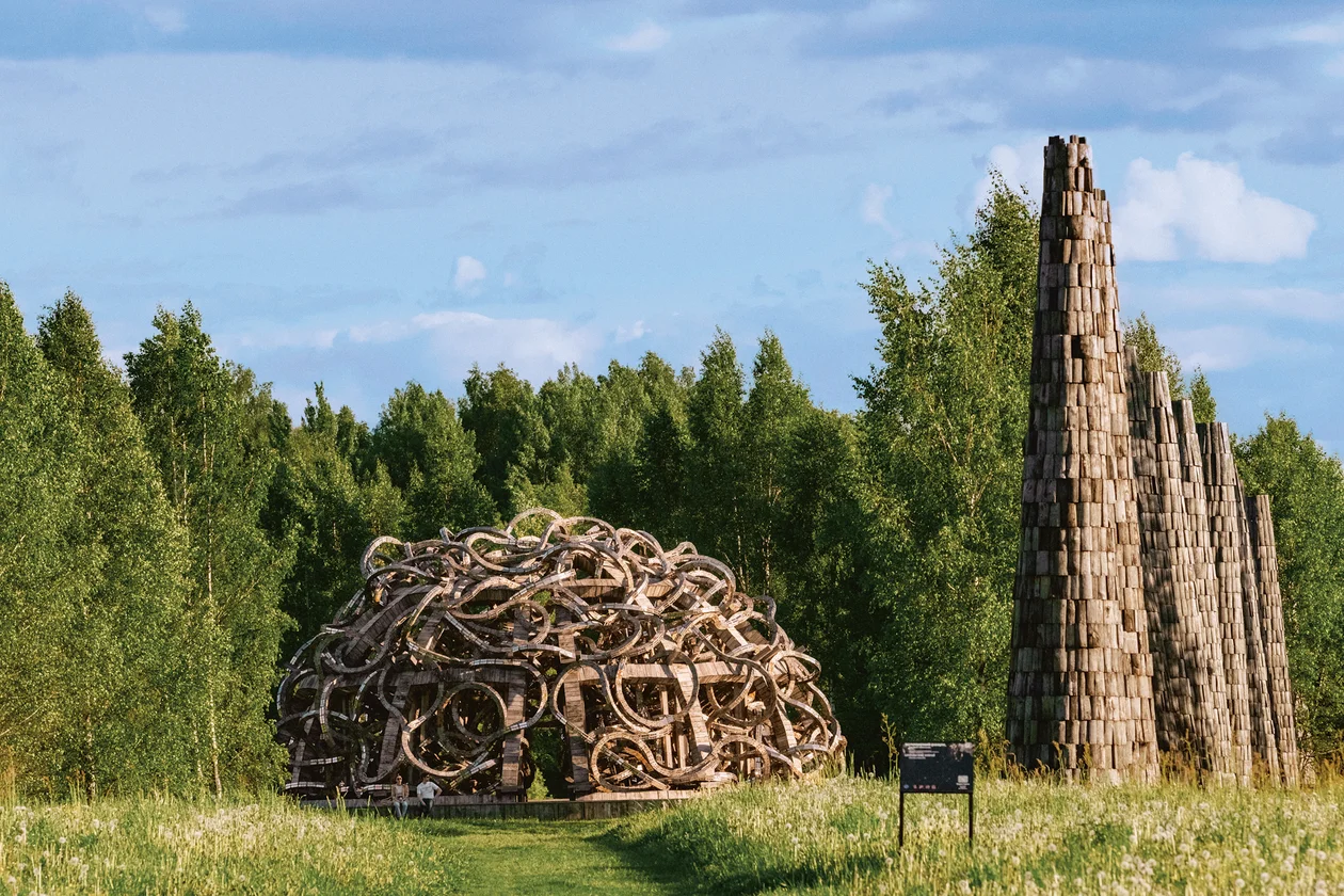 «Вселенский разум», 2012 год. Николай Полисский построил в Никола-Ленивце мозг размером с дачный участок — 14 метров в диаметре.