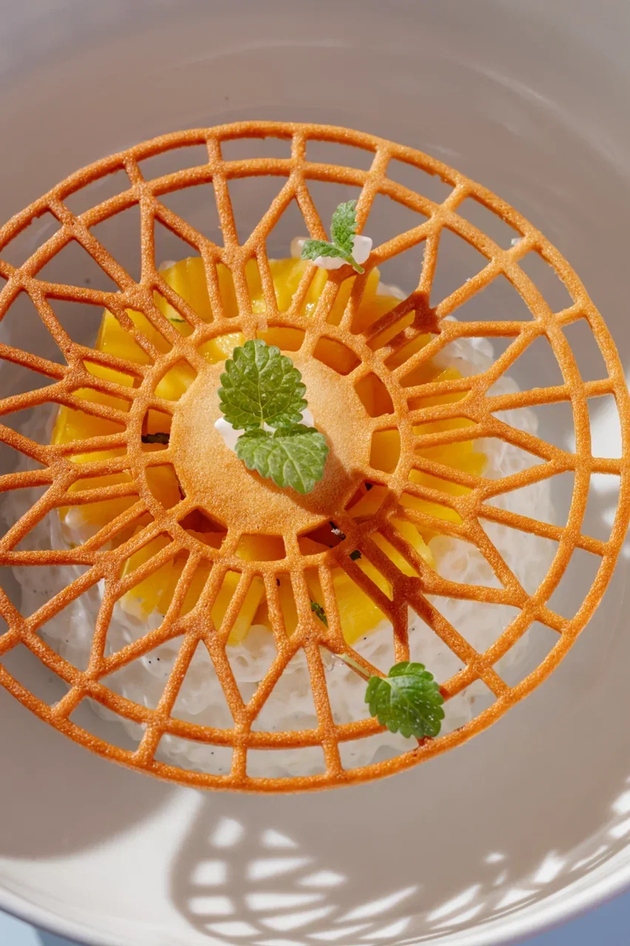 Ванильно-лаймовый пудинг из тапиоки с песочным тюилем