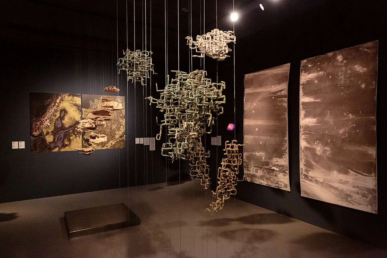 Источник: предоставлено пресс-службой Первой международной биеннале экологического искусства