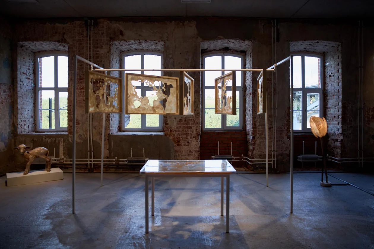 «Кожа Земли»