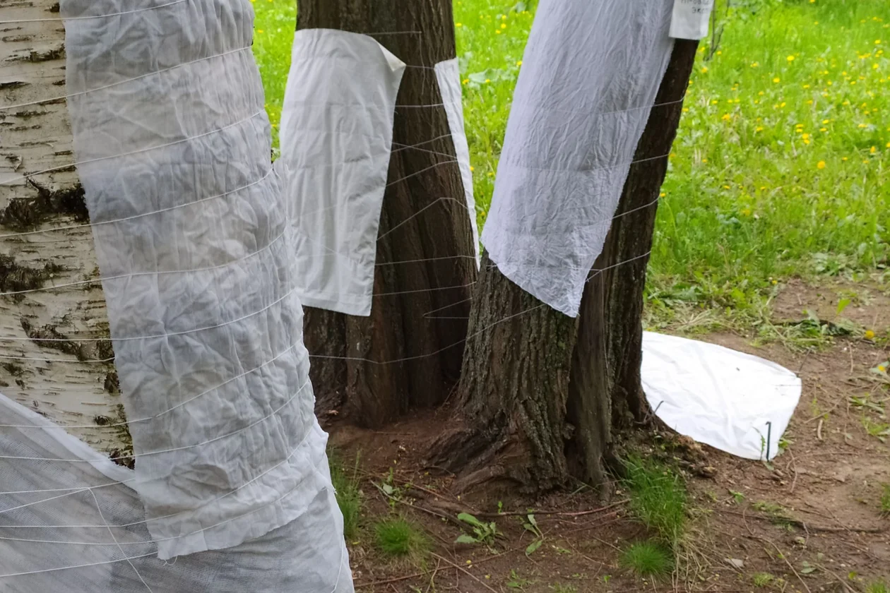 Из серии «Лоскутное шитье»