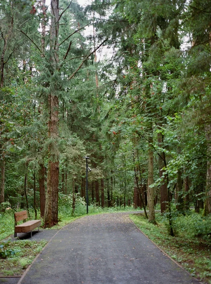 «Маслово Forest Club»