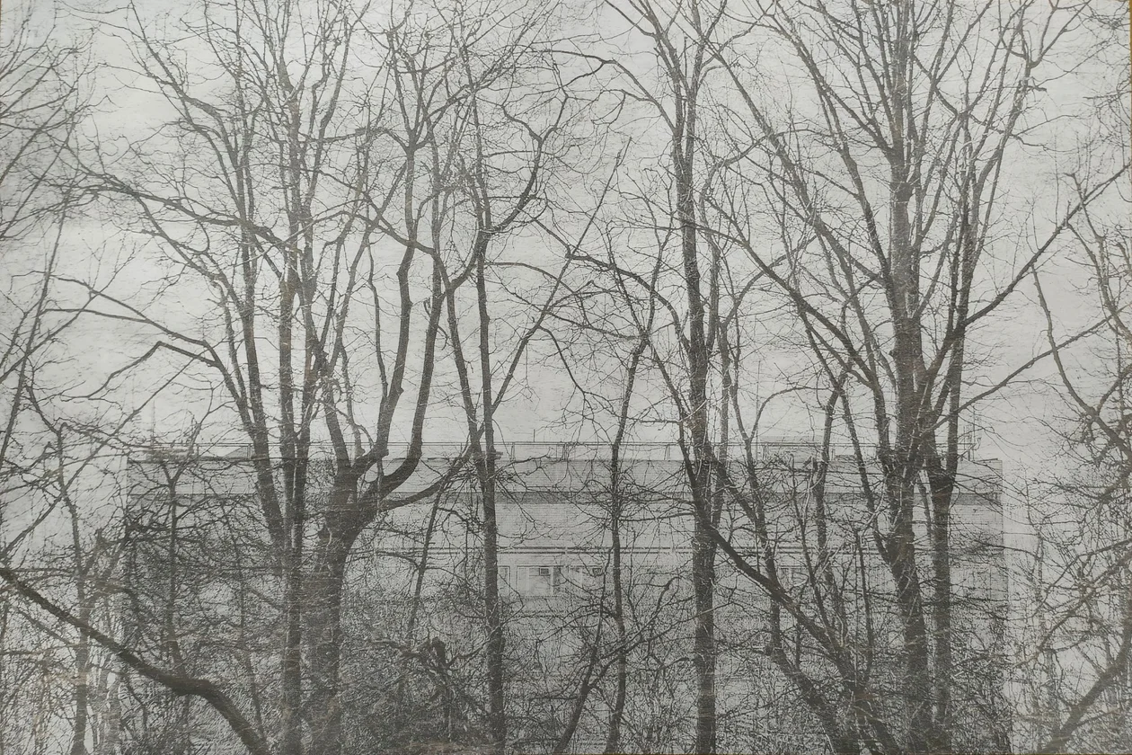 Серия «Прятки». Работа номер VII. Специально для «Москвички»