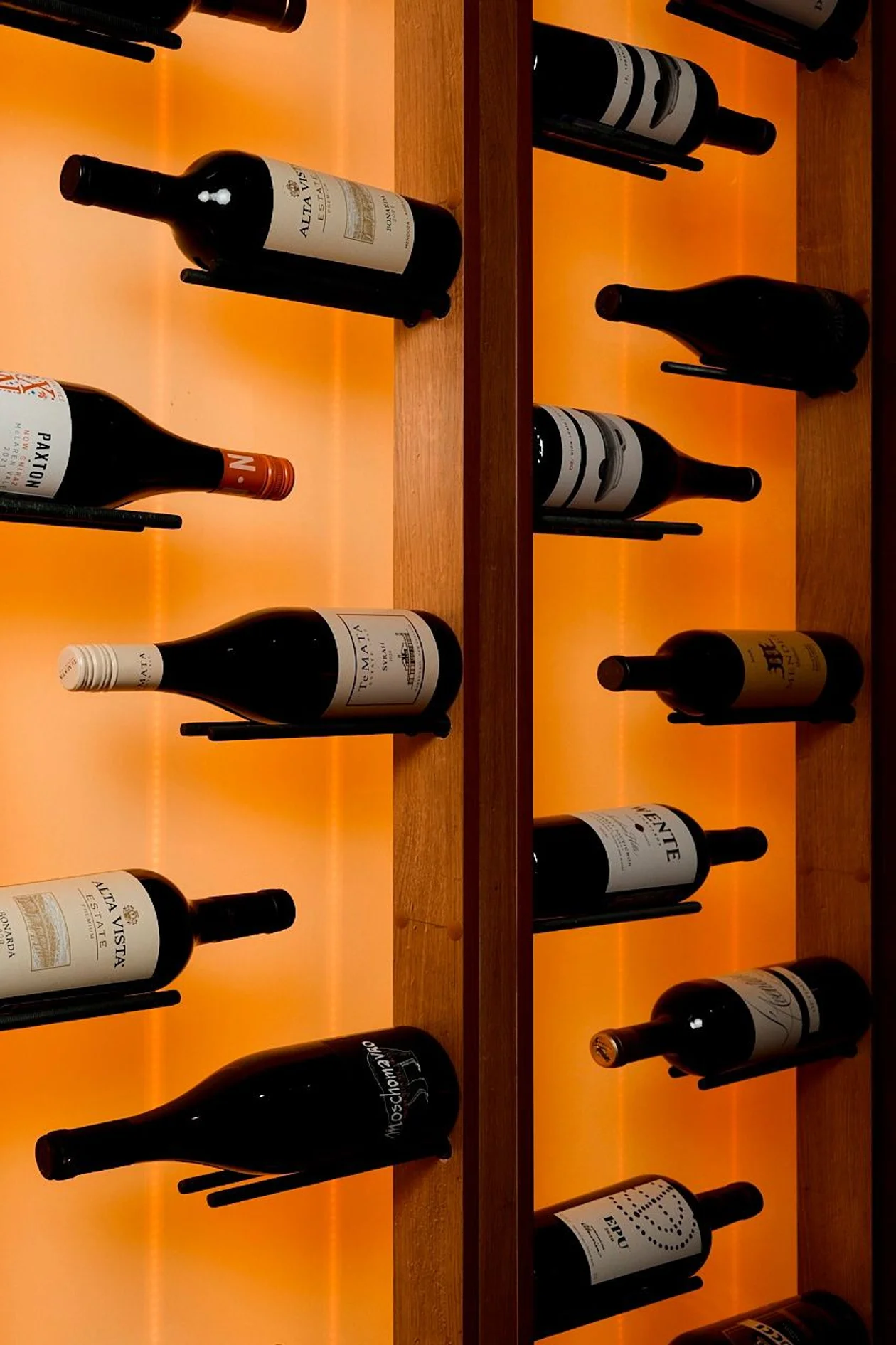 Фото: <span style="background-color:transparent;color:rgb(0,0,0);font-family:Arial, sans-serif;">Vinedo </span>