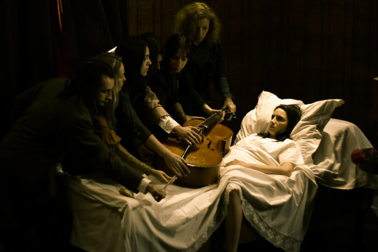 Провмыза. Капель